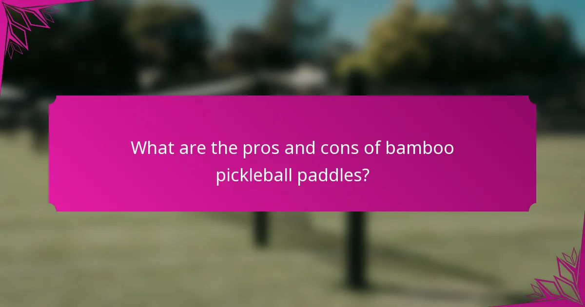 What are the pros and cons of bamboo pickleball paddles?